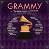 Grammy Nominees 2009 (2009)