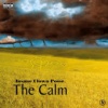 The Calm (2005)