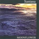 Moonflower (10/12/1977)